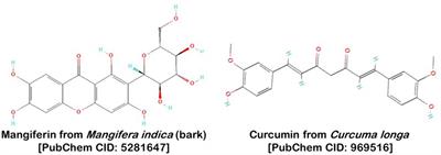 A novel front in sustainable microbial management: computational analysis of curcumin and mangiferin’s synergistic action against Bacillus anthracis